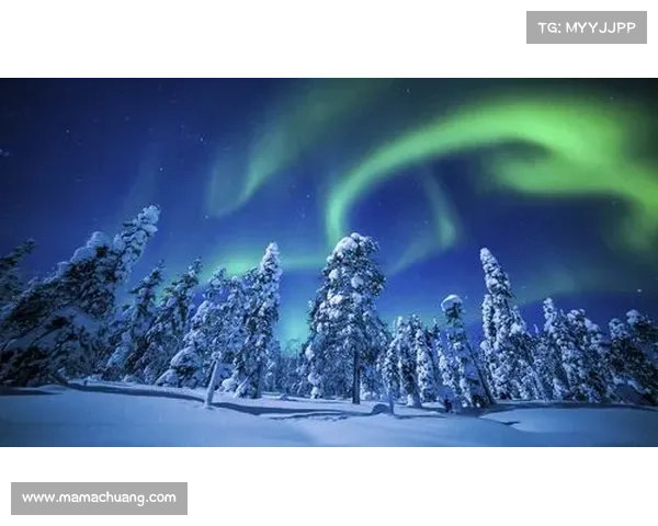 梦幻新诛仙拍照全攻略教你捕捉仙境美景定格唯美瞬间